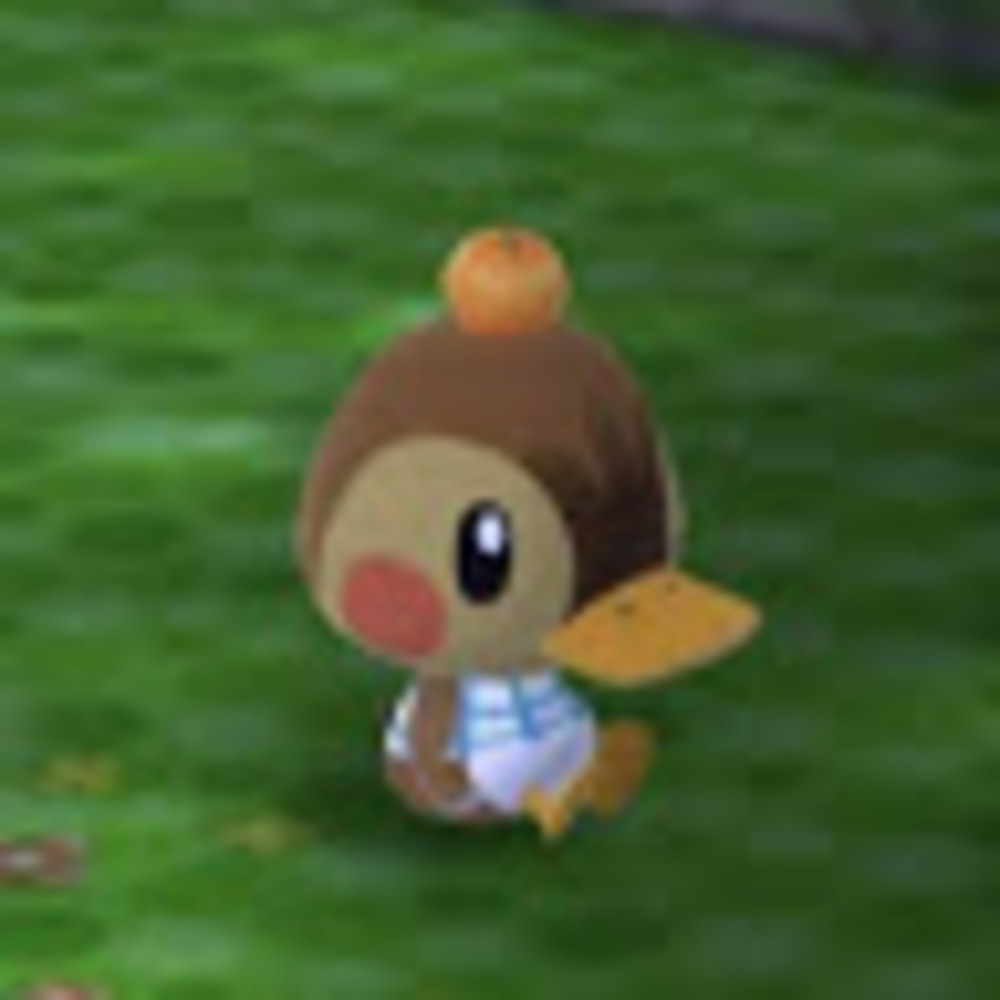 Meet your Posher, Cumcoochie